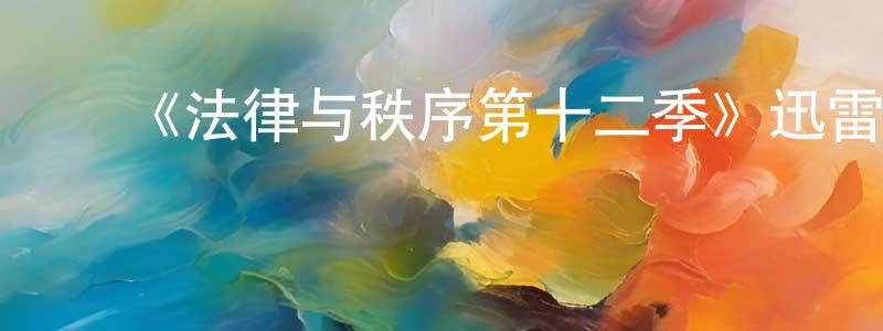 陈志杰发布《法律与秩序第十二季》迅雷下载/在线观看-犯罪历史-美剧天堂